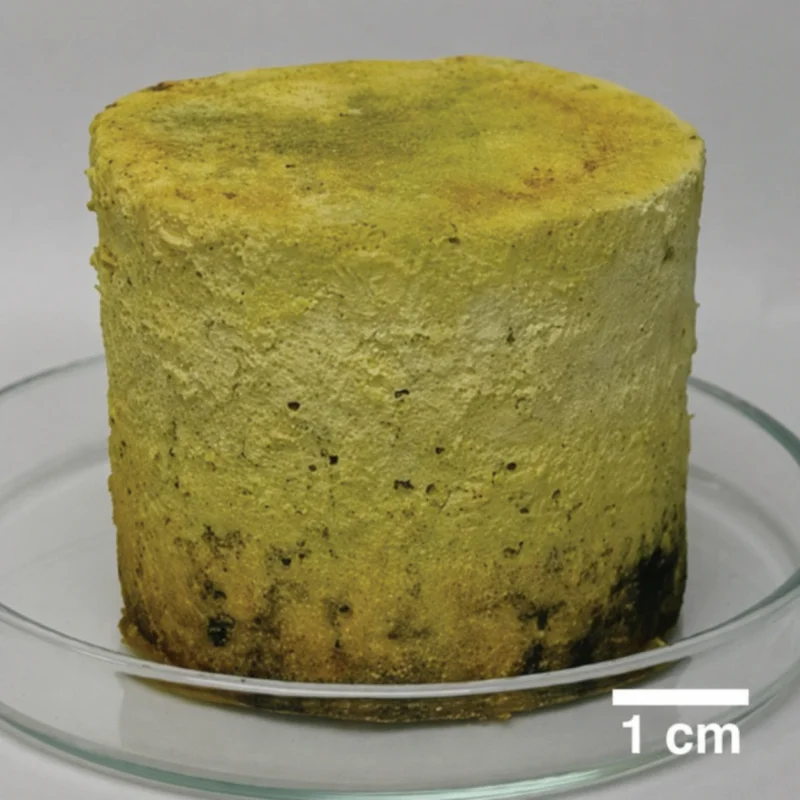 A small cylindrical coupon of phenolic material, yellow-tan and porous with dark spots near its base, sitting on a glass dish beside a 1 cm scale bar.